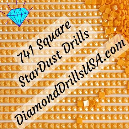 741 StarDust SQUARE Pearl Mica Dust 5D Diamond Painting
