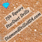 754 StarDust SQUARE Pearl Mica Dust 5D Diamond Painting