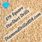 819 StarDust SQUARE Pearl Mica Dust 5D Diamond Painting