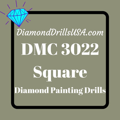 DMC 3022 SQUARE 5D Diamond Painting Drills Beads DMC 3022 