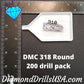 DMC 318 ROUND 5D Diamond Painting Drills Beads DMC 318 Light