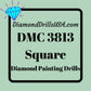 DMC 3813 SQUARE 5D Diamond Painting Drills Beads DMC 3813 