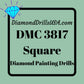 DMC 3817 SQUARE 5D Diamond Painting Drills Beads DMC 3817 