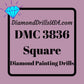 DMC 3836 SQUARE 5D Diamond Painting Drills Beads DMC 3836 