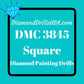 DMC 3845 SQUARE 5D Diamond Painting Drills Beads DMC 3845 