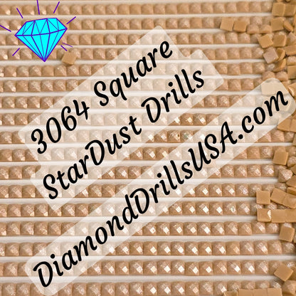 3064 StarDust SQUARE Pearl Mica Dust 5D Diamond Painting Drills Pixie Fairy DMC 3064 Desert Sand Brown