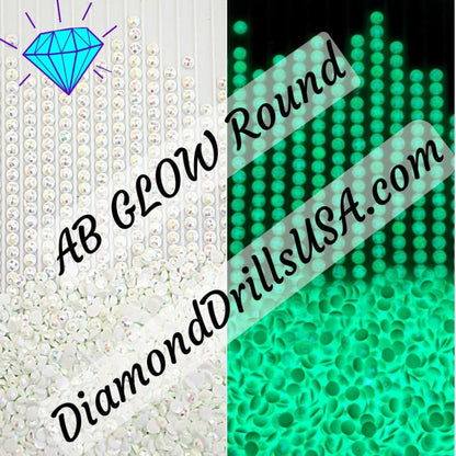 AB GLOW in the Dark ROUND Aurora Borealis WHITE AB5200 5D 