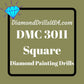 DMC 3011 SQUARE 5D Diamond Painting Drills Beads DMC 3011 