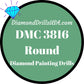 DMC 3816 ROUND 5D Diamond Painting Drills Beads DMC 3816 