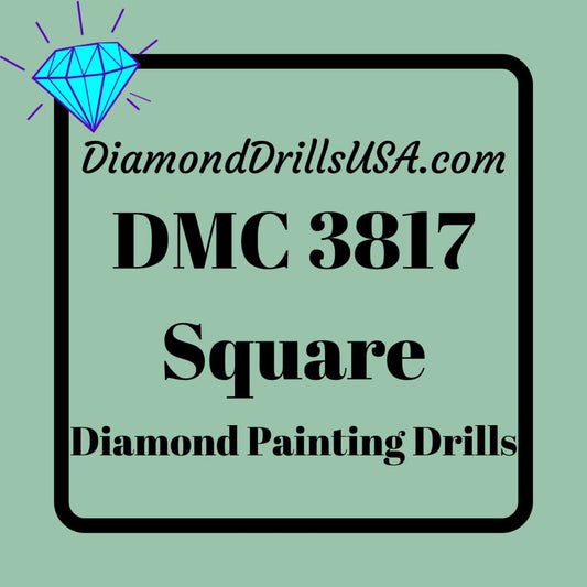 DMC 3817 SQUARE 5D Diamond Painting Drills Beads DMC 3817 