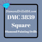 DMC 3839 SQUARE 5D Diamond Painting Drills Beads DMC 3839 