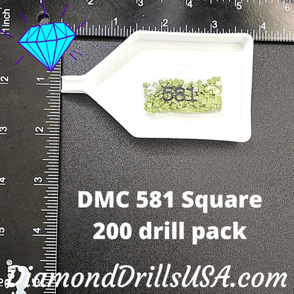 DMC 581 SQUARE 5D Diamond Painting Drills Beads DMC 581 Moss