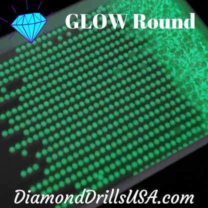 GLOW in the Dark ROUND 5D Diamond Painting Drills Beads 