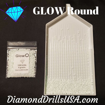 GLOW in the Dark ROUND 5D Diamond Painting Drills Beads 